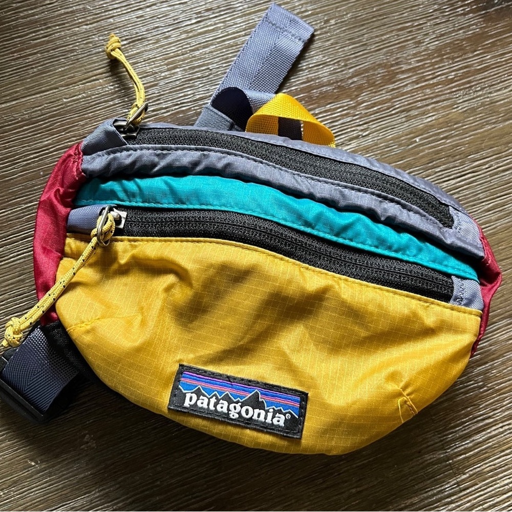 ISO !!!! Patagonia Mini Hip Pack in Patchwork